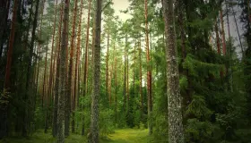 Русское производство